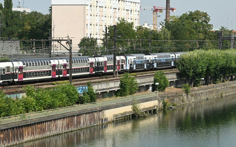 choisy-le-roi, štiri trupla, pariz, sena.jpg