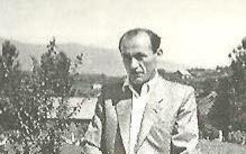 Alojz Mihelčič.jpg