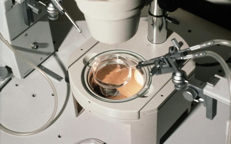 biobanka, vzorci, simbolična