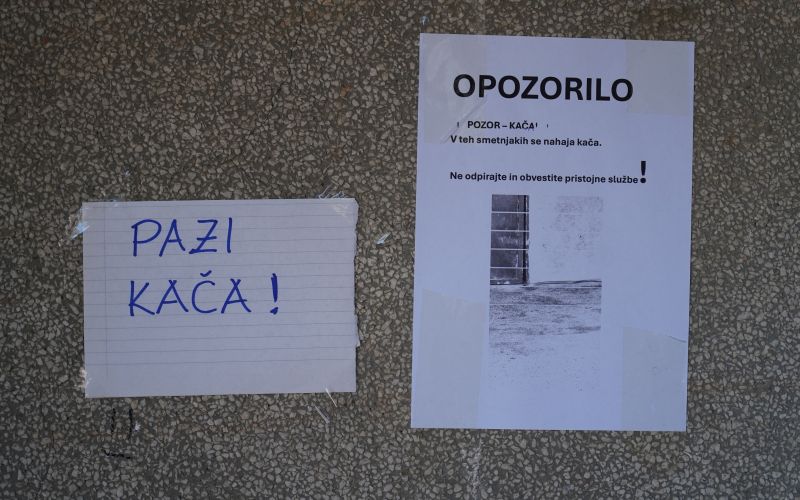 opozorilo, kača