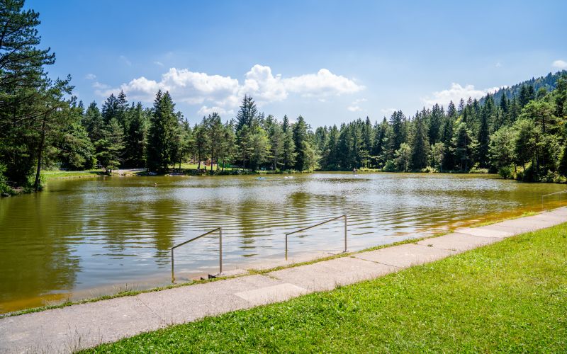 Rakitniško jezero