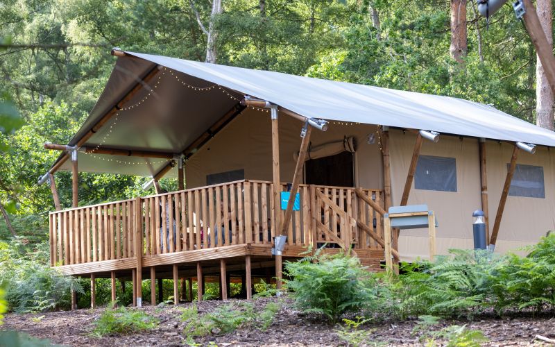 Kralj Karel, Sandringham / Kralj Karel je na posestvu Sandringham odprl glamping vasico.