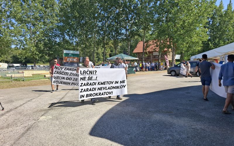 agra, prasicereja, protest, kastracija-pujskov