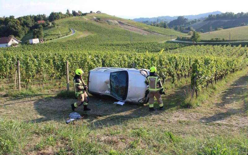 pge-krsko, avto-v-vinogradu