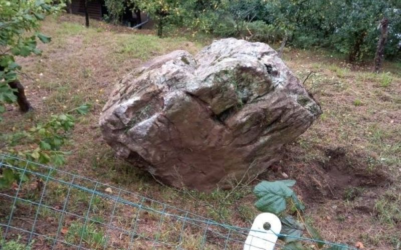 d35_skala sg.jpg