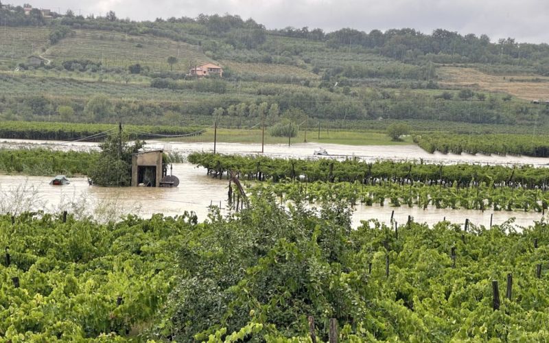 poplave, vanganel