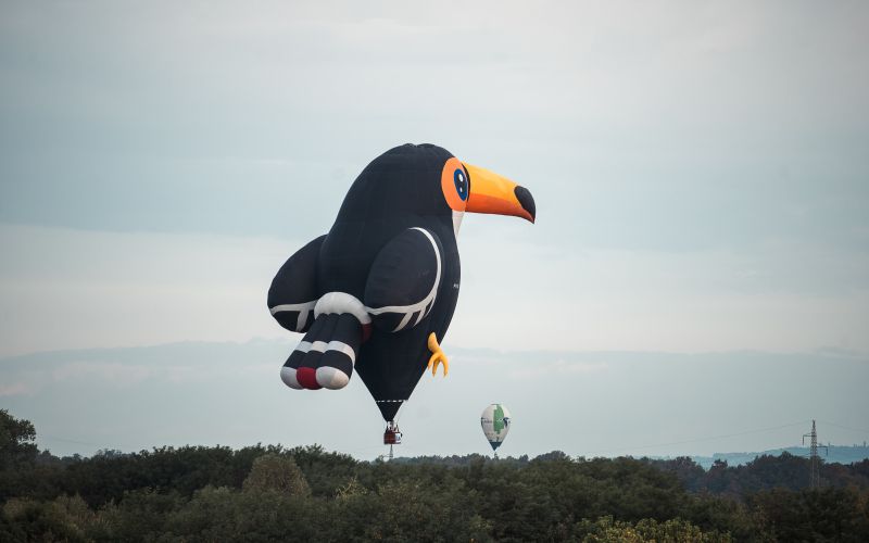 sobota-balonfest-2025, balon, baloni