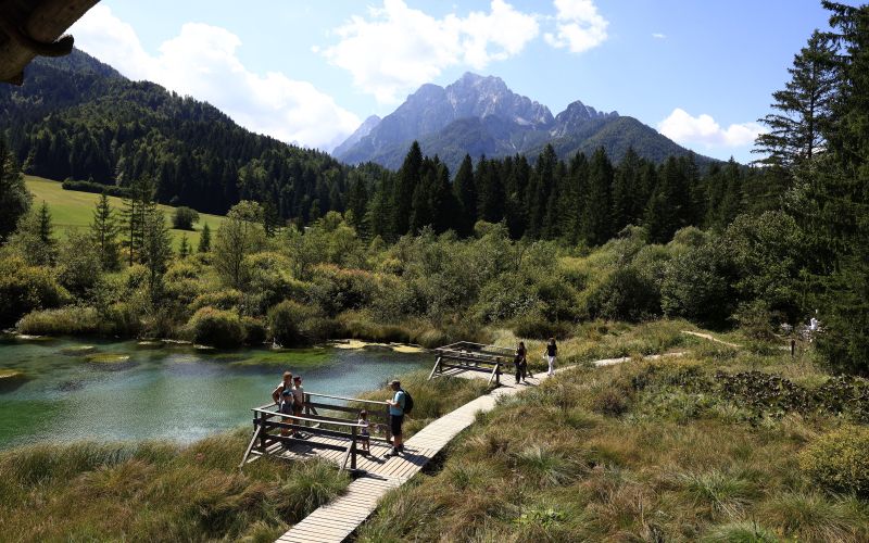 narava zelenci kranjska gora.JPG