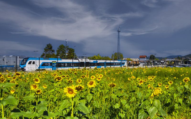 slovenske-zeleznice, sejemo-soncno-prihodnost