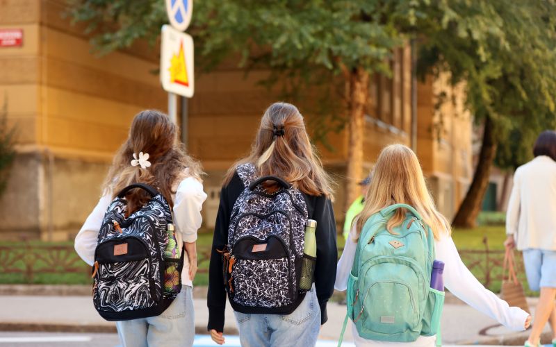 ucenci, objave, nestrpnost, sola