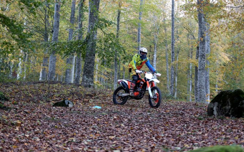 motorno kolo gozd motorist
