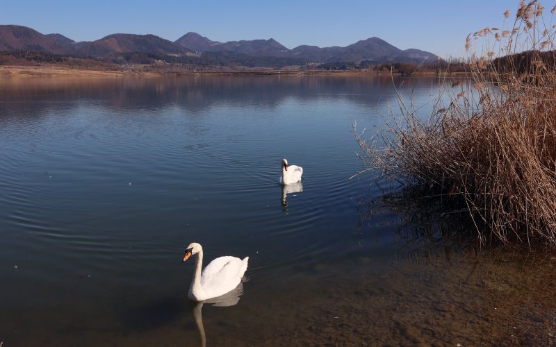 plavajoca-soncna-elektrarna, sostanj