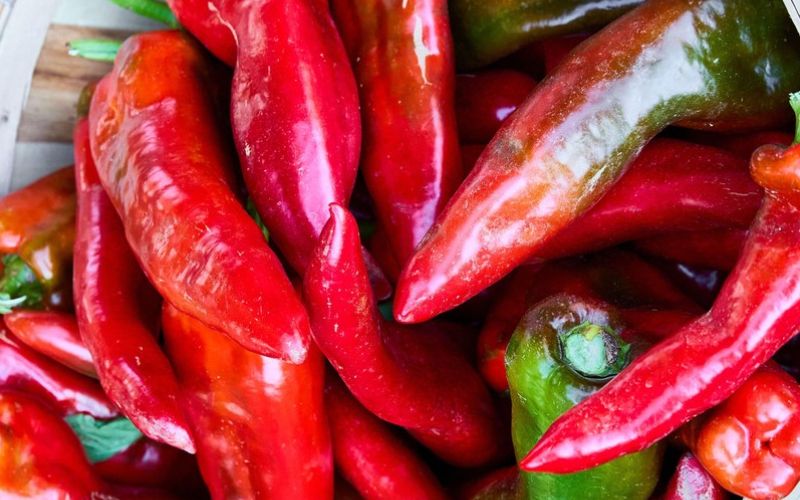 rdeča paprika