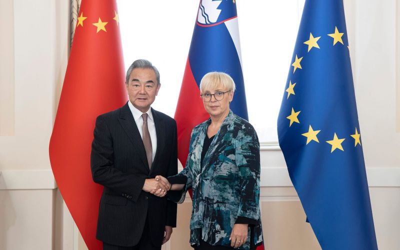 Wang Yi, nataša pirc musar