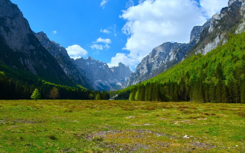 krma, dolina
