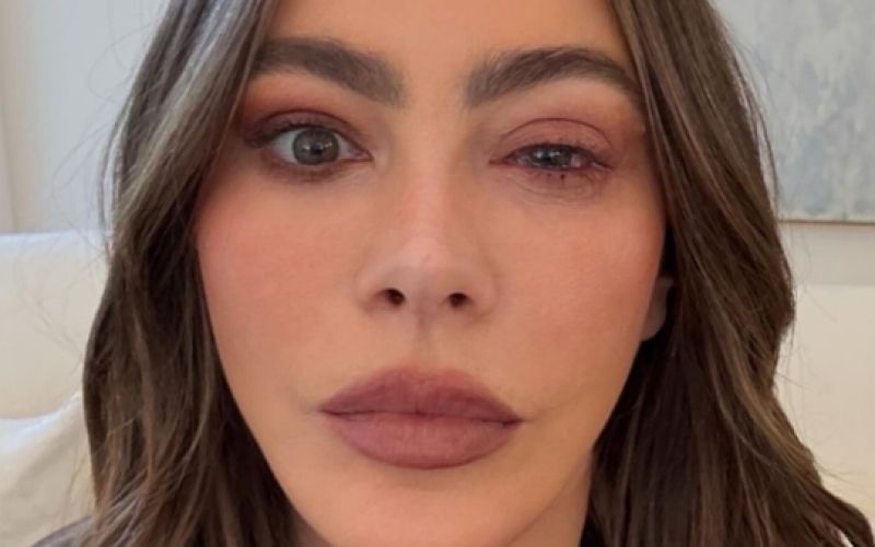 Sofia Vergara - Sofia Vergara je zaradi alergijske reakcije namesto na rdečo preprogo emmyjev, moral