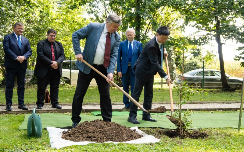 ginko-miru, vrt-spominov-in-tovaristva, petanjci, ustanova-dr-siftarjeva-fundacija, kitajska