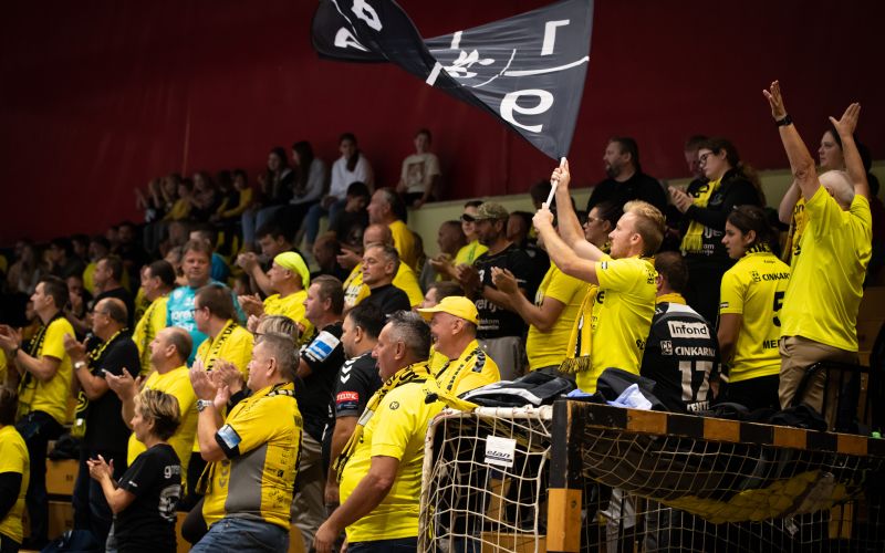 gorenje navijači.jpg