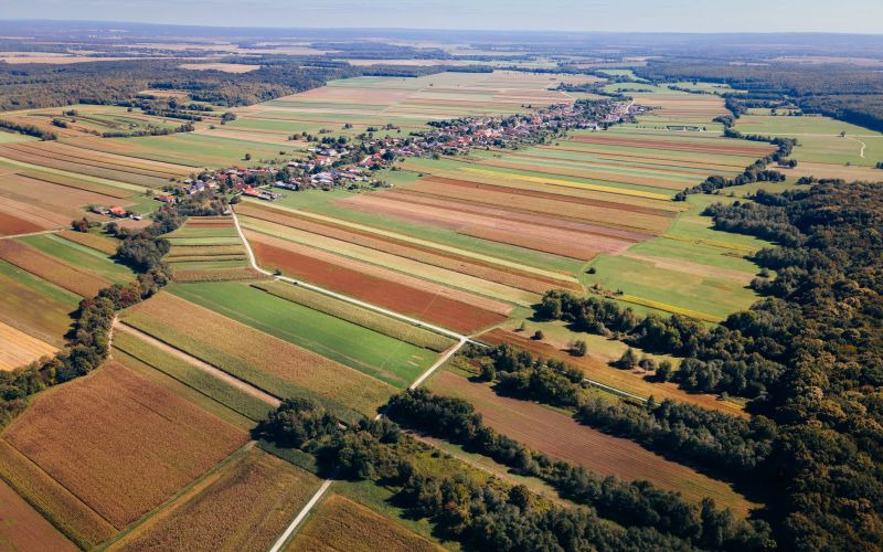 simbolična, gozd, dron, prekmurje, narava, podeželje, kobilje