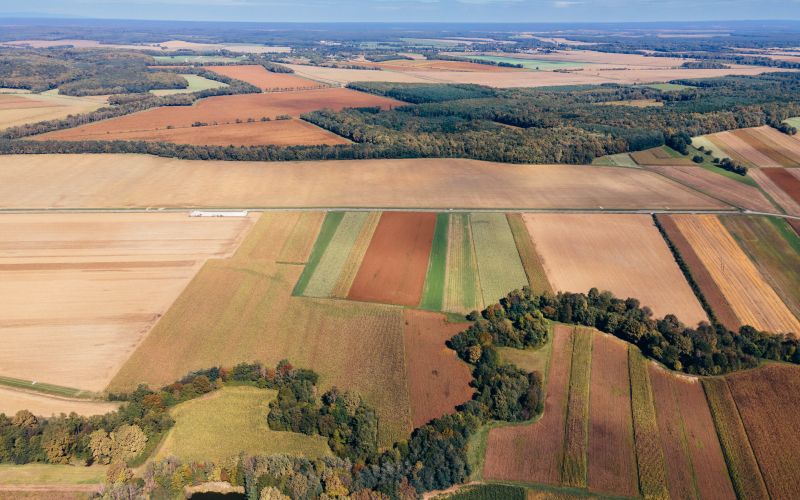simbolična, gozd, dron, prekmurje, narava, podeželje