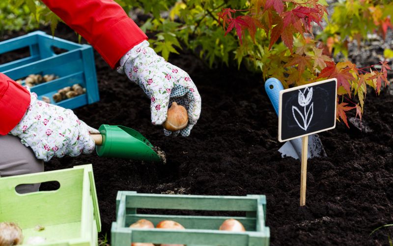 Sadimo naslovna-okt25.jpg