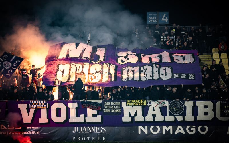 viole maribor