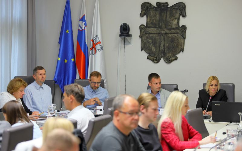 cg_bozicnica_seja_mestni_svet.jpg