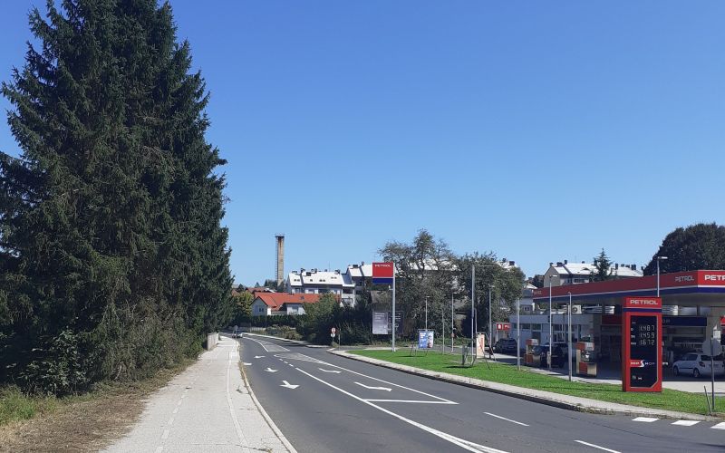 halo-tukaj-bralec-dolenjca