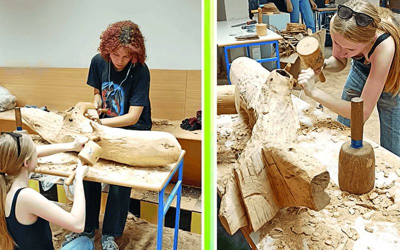 napotnikova kolonija copy.jpg