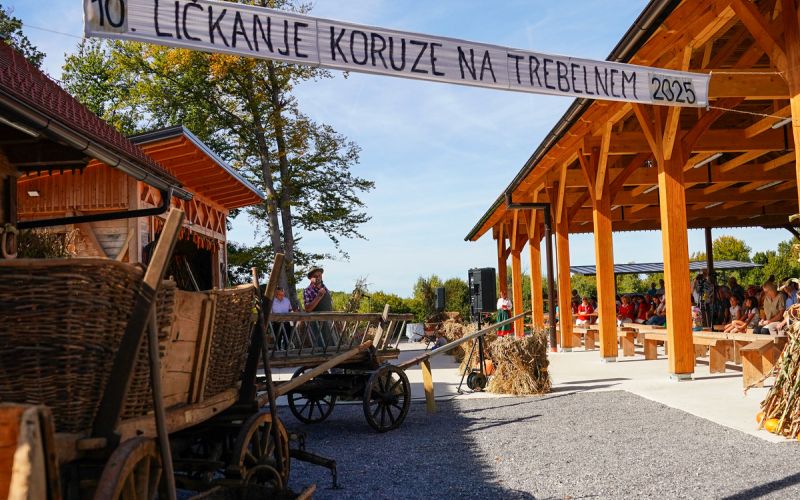 lickanje-koruze, trebelno