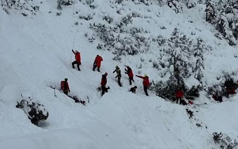plaz iskanje grs radovljica.jpg