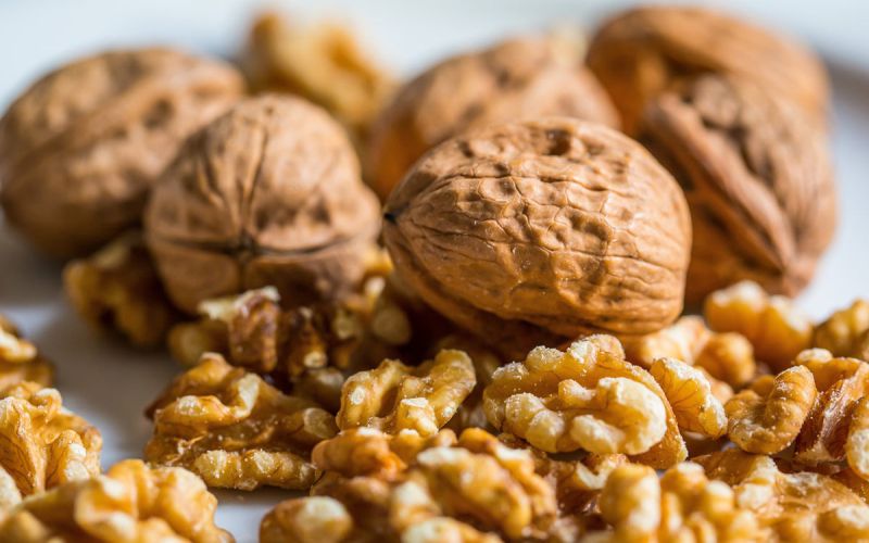 oreh-walnut-2816934.jpg