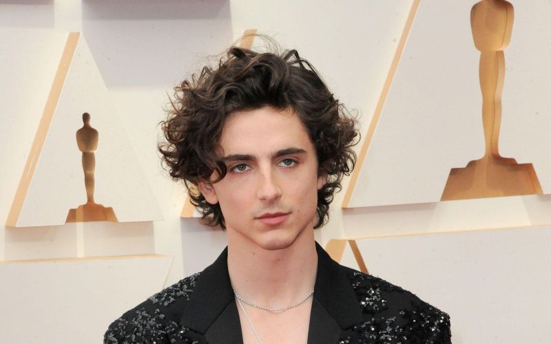 timothe chalamet 1.jpg
