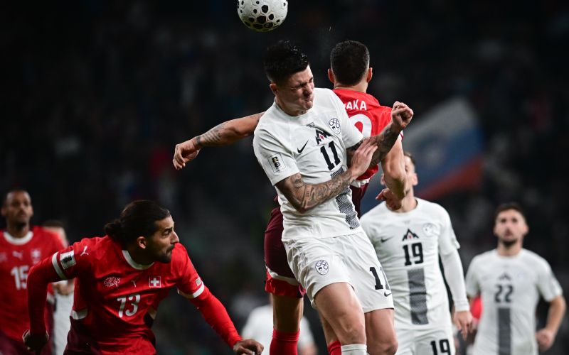 slovenija svica 25 mm.jpg