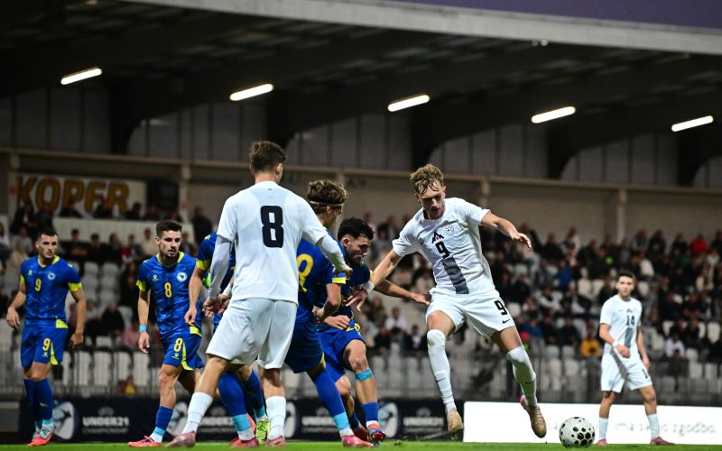 1slovenija - bih mm.jpg