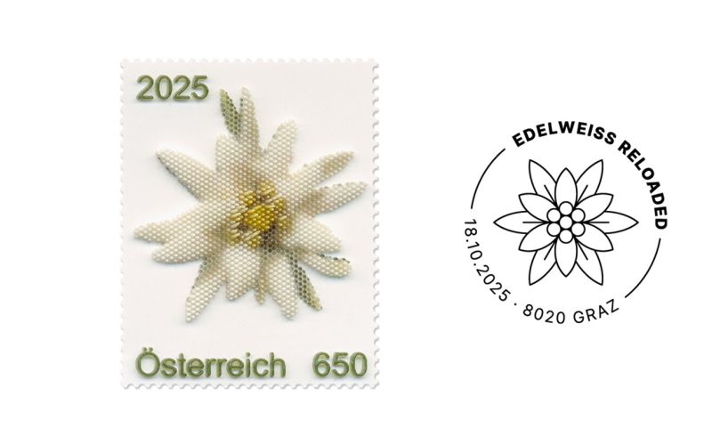 Headerbild SM 1440x810 Oktober Edelweiss.jpg