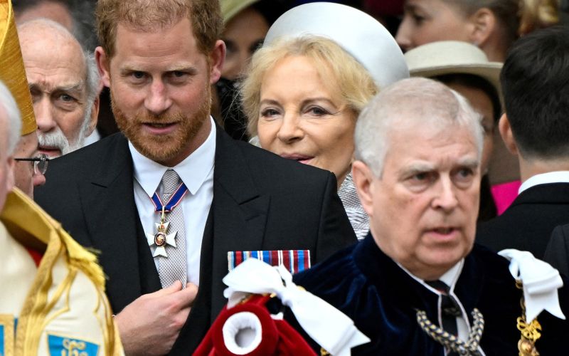 princ harry, princ andrew.jpg