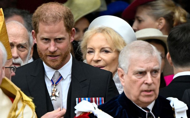 princ harry, princ andrew.jpg
