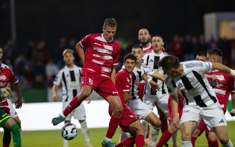 1aluminij mura gw.jpg