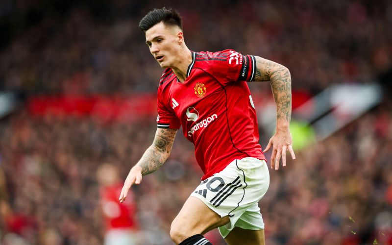 benjamin šeško.jpg