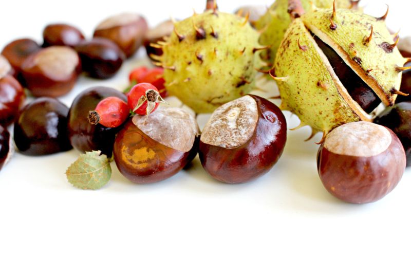 dekoracija-chestnuts-1698235.jpg