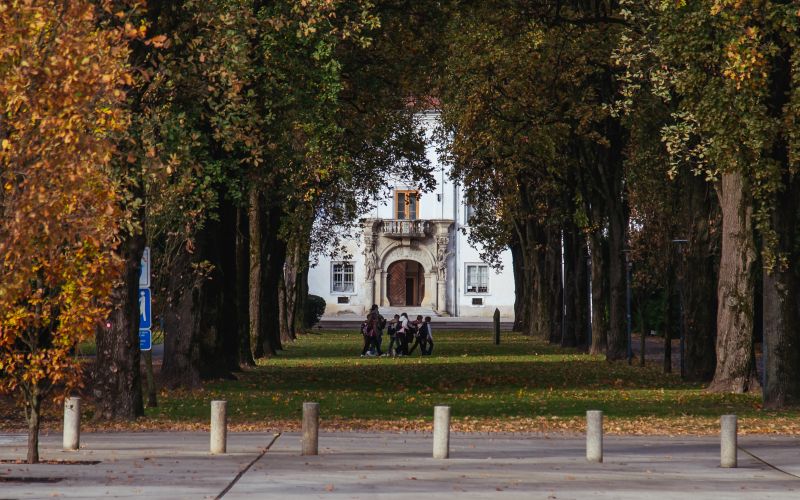 simbolična, park, drevored, jesen, narava, grad, mladi, otroci, vrtec, šolarji