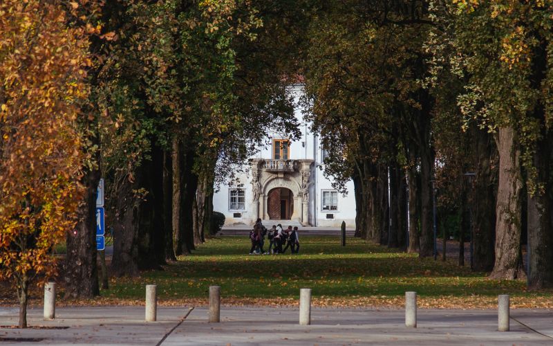 simbolična, park, drevored, jesen, narava, grad, mladi, otroci, vrtec, šolarji