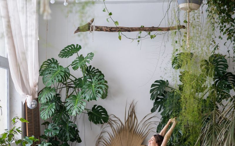 TM naslovna-nov22.jpg