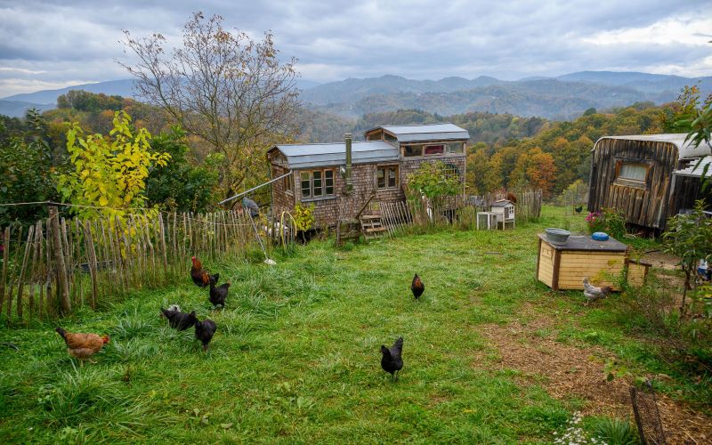 nemka-simone-vetters