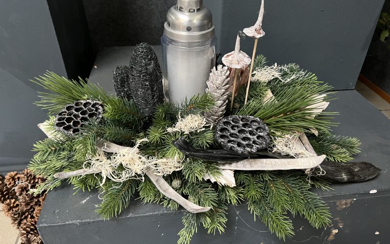 NS naslovna-nov22.jpeg