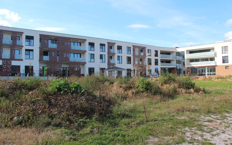 MZ Zemljisce Zabjak.JPG