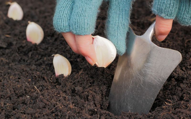 profimedia-0978386509 (1).jpg