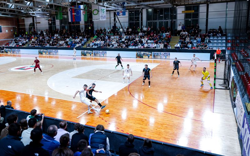 siliko vrhnika af.jpg