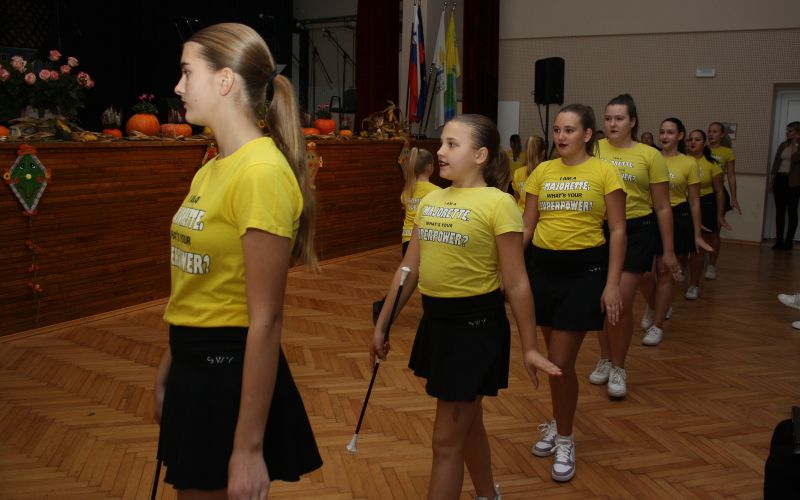 praznik-obcine-brezice, tradicionalna-prireditev-dobova-se-predstavi-2025